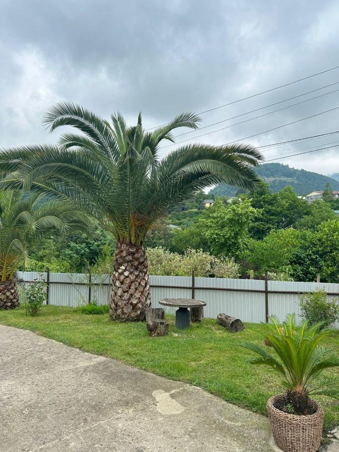 Guesthouse On Topchan 17 New Athos エクステリア 写真